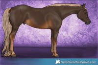 Horse Color:Gray Chocolate Palomino 