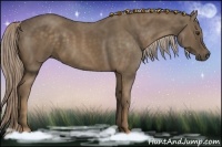 Horse Color:Chocolate Palomino 