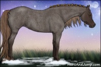 Horse Color:Liver Red Roan 