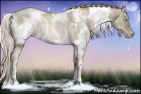Horse Color:White Spotted Chocolate Palomino Pearl Rabicano
