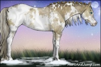 Horse Color:White Spotted Chocolate Palomino Ice Dun Splash
