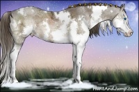 Horse Color:White Spotted Liver Chestnut Ice Splash 