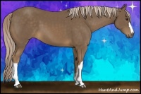 Horse Color:Chocolate Palomino 