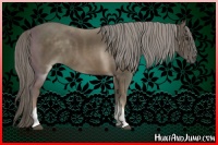 Horse Color:Chocolate Palomino