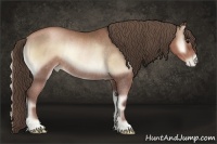 Horse Color:Blue Onyx Pearl Rabicano