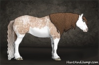 Horse Color:Brown Ice Pearl Sabino Splash