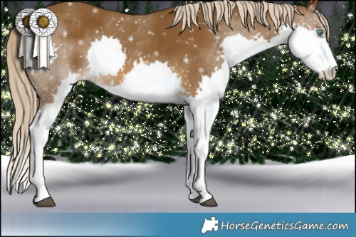 Horse Color:Chocolate Palomino Splash 