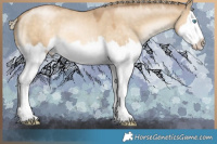 Horse Color:Chocolate Palomino Pearl Dun Mushroom Sabino Splash 