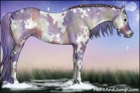 Horse Color:Nacre Watercolor White Spotted Bay Onyx 