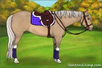 Horse Color:Silver Buckskin Roan 