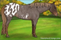 Horse Color:Liver Red Roan Varnish 