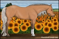 Horse Color:Silver Bay 