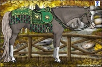 Horse Color:Silver Black Splash