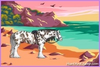 Horse Color:Brown Sabino Splash Appaloosa