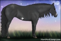 Horse Color:Black  and Black Frame 