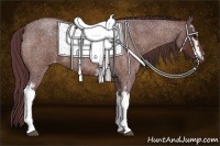Horse Color:White Spotted Chocolate Brown Roan Varnish 