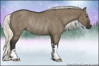 Horse Color:Liver Red Dun Rabicano Brindle