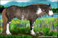 Horse Color:Liver Chestnut Ice Sabino Rabicano 