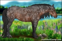 Horse Color:Liver Red Ice Roan Rabicano 