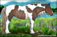 Horse Color:Liver Chestnut Tobiano Rabicano