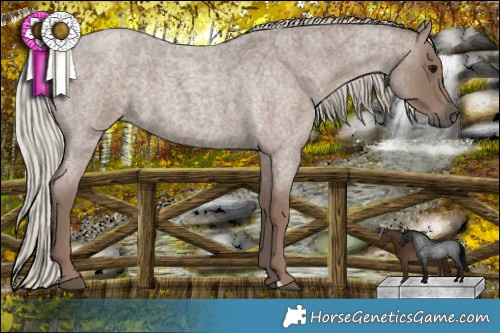 Horse Color:Silver Blue Roan 