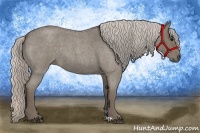 Horse Color:Silver Blue Roan 