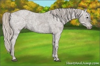 Horse Color:Silver Blue Ice Roan