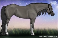 Horse Color:Grullo 