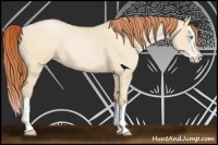 Horse Color:Buckskin Roan Pearl Dun Splash 