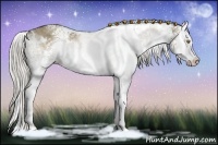 Horse Color:White Spotted Chocolate Palomino Dun Splash Rabicano 