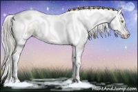 Horse Color:White Spotted Chocolate Palomino Splash Tobiano 