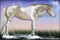 Horse Color:White Spotted Liver Red Dun Splash Tobiano 