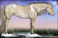 Horse Color:White Spotted Liver Red Dun Ice Pearl Sabino