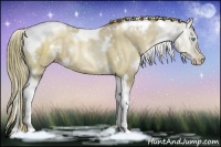 Horse Color:White Spotted Liver Red Dun Pearl Tobiano 