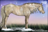 Horse Color:White Spotted Liver Chestnut Pearl 