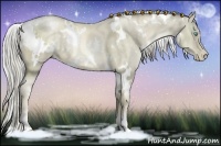 Horse Color:White Spotted Chocolate Palomino Pearl Dun