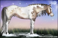 Horse Color:White Spotted Liver Red Onyx Ice Splash Tobiano Rabicano