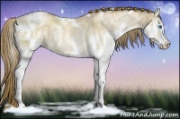 Horse Color:White Spotted Liver Red Dun Pearl Splash Rabicano