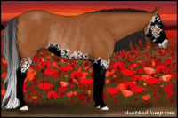 Horse Color:Gray Buckskin Sabino Splash Rabicano 