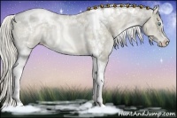 Horse Color:Chocolate Palomino Pearl Sabino Tobiano