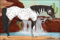 Horse Color:Brown Near Leopard 