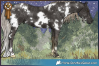 Horse Color:White Spotted Liver Chestnut 