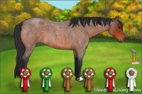 Horse Color:Bay Roan Sabino