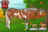 Horse Color:White Spotted Silver Brown