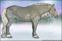 Horse Color:Liver Chestnut Ice Rabicano