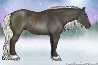 Horse Color:Liver Chestnut Rabicano 