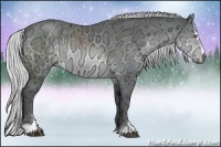 Horse Color:Silver Brown Chinchilla Ice Sabino 