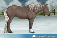 Horse Color:Silver Black Tobiano