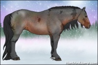 Horse Color:Brown Ice Rabicano