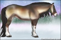 Horse Color:Liver Red Onyx